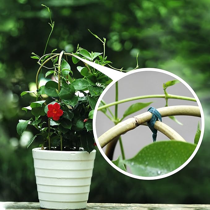 Bamboo Trellis, 16in Ladder-Shaped Trellis - Image 7