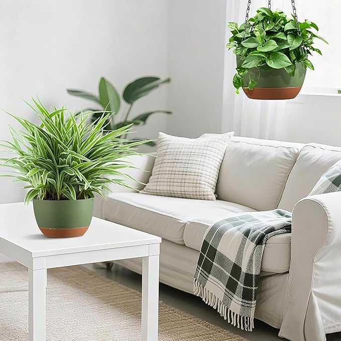 Hanging Planters for Indoor Plants - Image 4