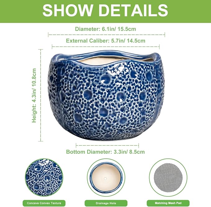 Orchid Pot - 6 Inch Ceramic Plant Pot - Image 2