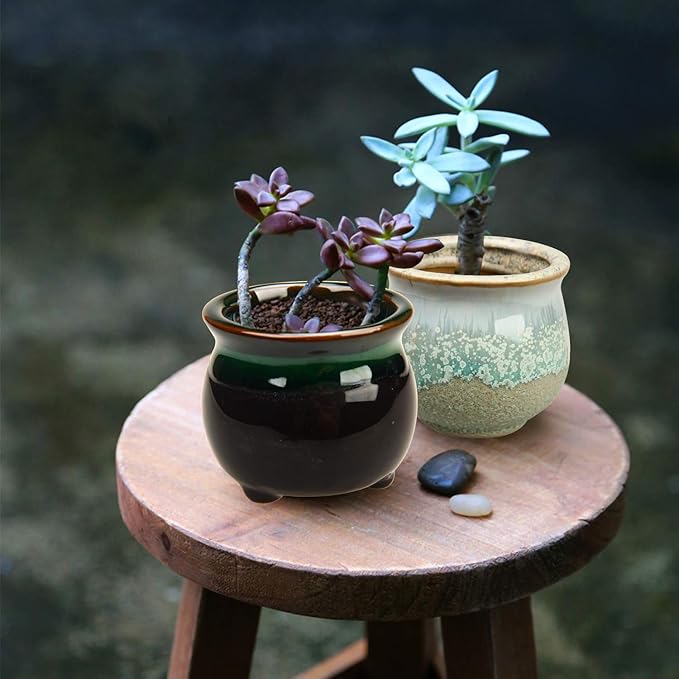 Brajttt 2.1 Inch Succulent Pot - Image 7
