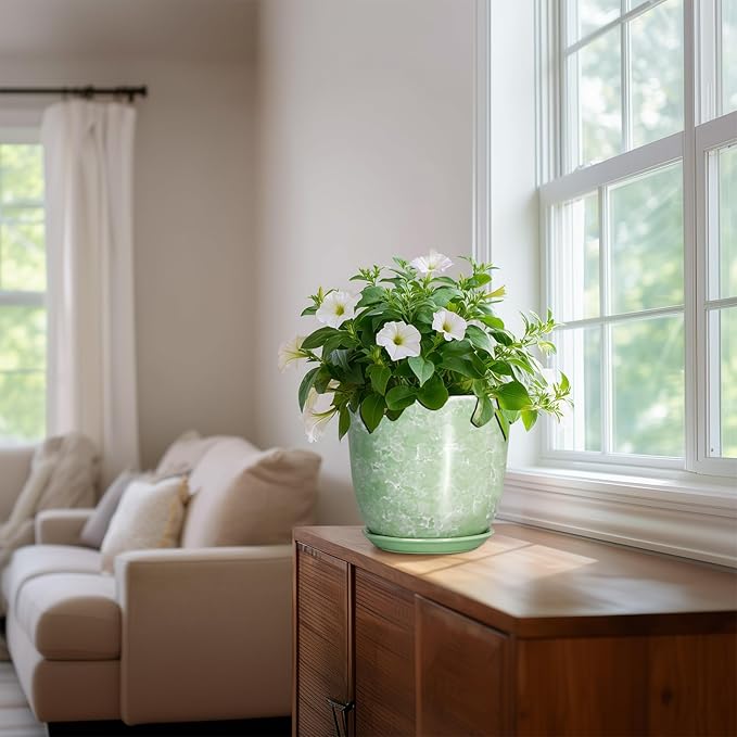 Ceramic Planter - Image 6