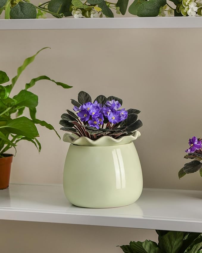 Self Watering Plant Pot, 6 Inch African Violet Pots Maintenance, Ceramic - Image 5