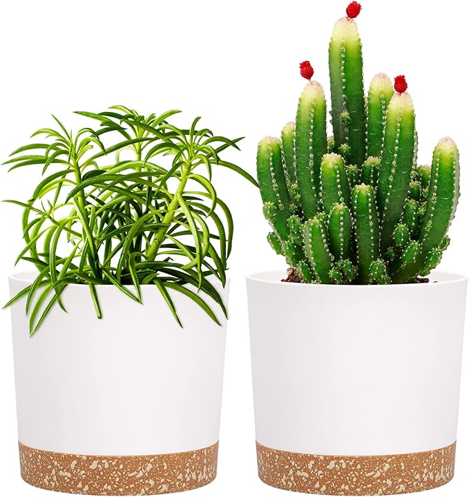 QCQHDU 5 inch Plant Pot, 2 Pack Planters by QCQHDU