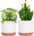 QCQHDU 5 inch Plant Pot, 2 Pack Planters by QCQHDU