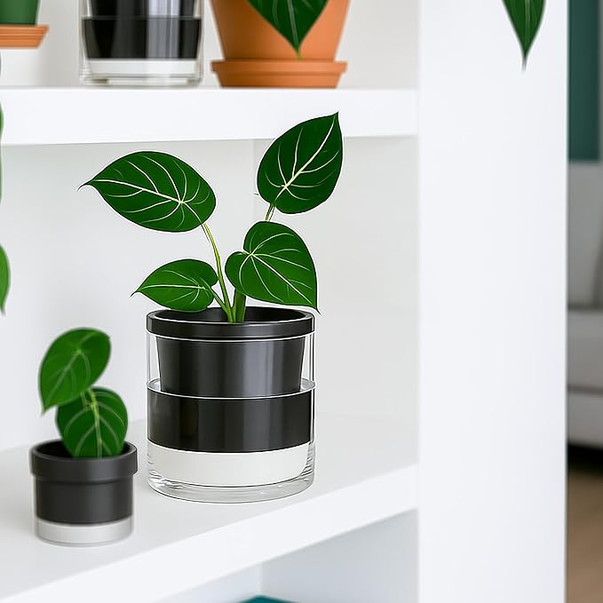D'vine Dev 6 Inch Design Self Watering Planter - Image 4