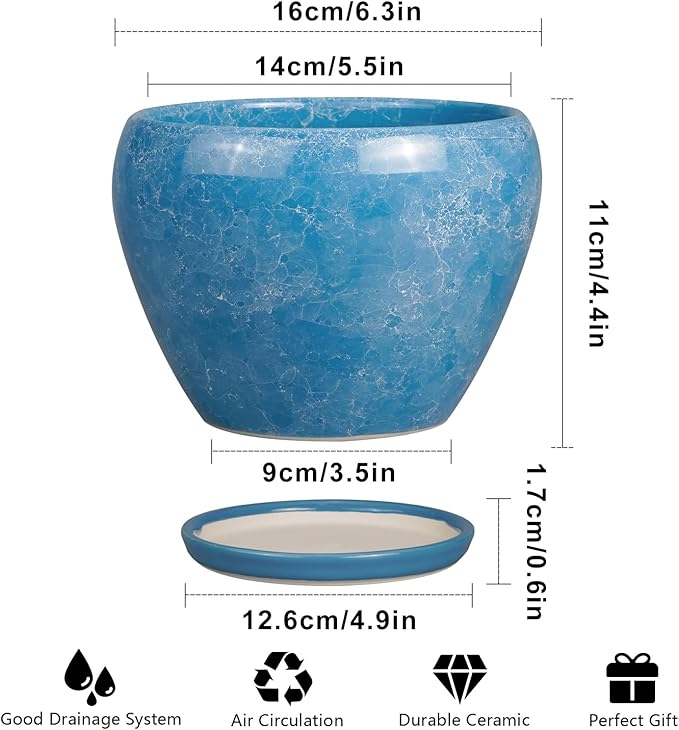 6 Inch Plant Pot - Image 3