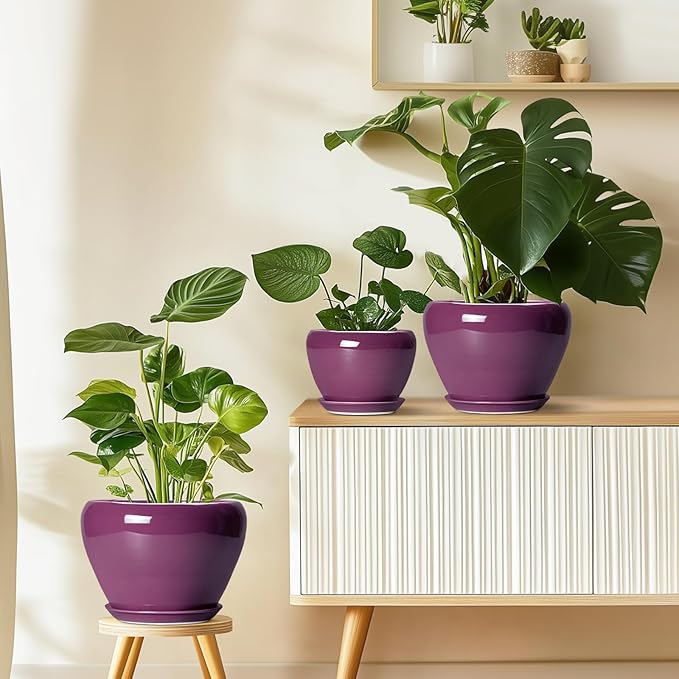 Ceramic Pots for Plants 6 Inch - Image 7