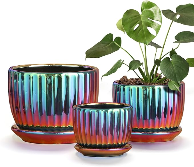 Ton Sin Flower Pots, Small Glazed Succulent Pots by TonSin