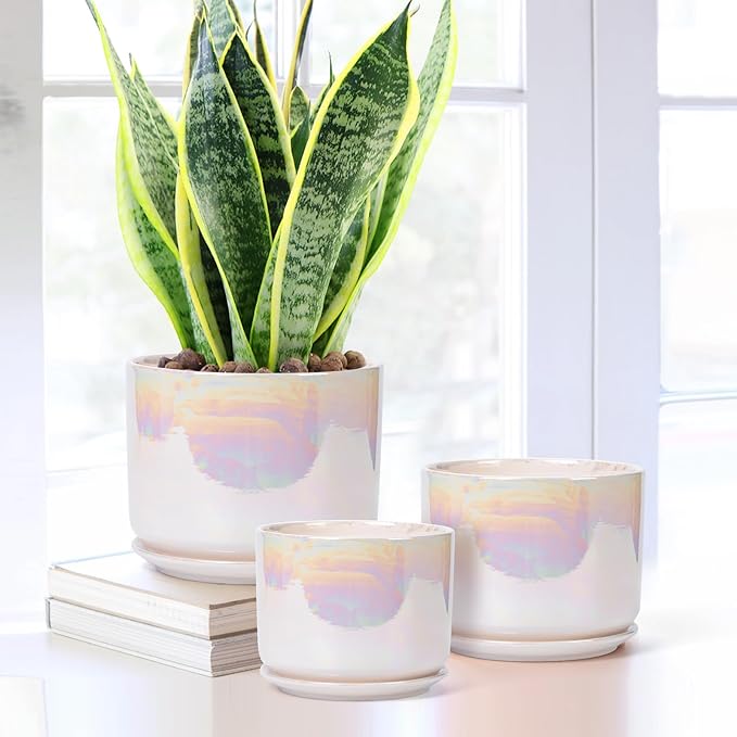 EFISPSS Plant Pots, 4+5+6 Inch Pots - Image 2