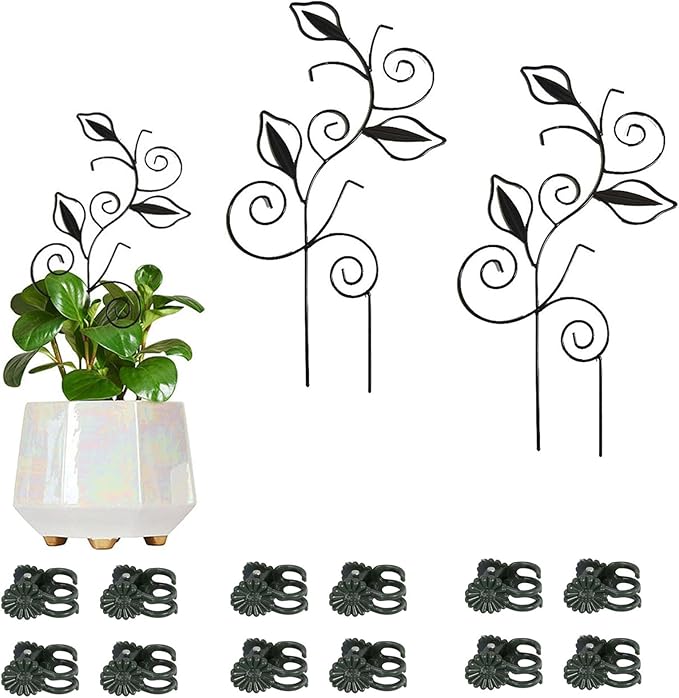 Decorative Metal Plant Trellis for Indoor Potted Plants – Leaf Shape Vine by Unknown