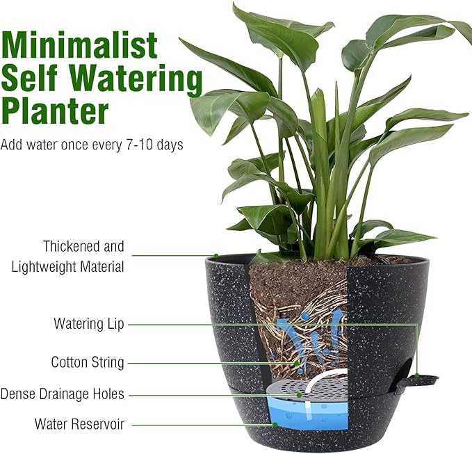 10 inch Self Watering Pots, Plant Pots - Image 5