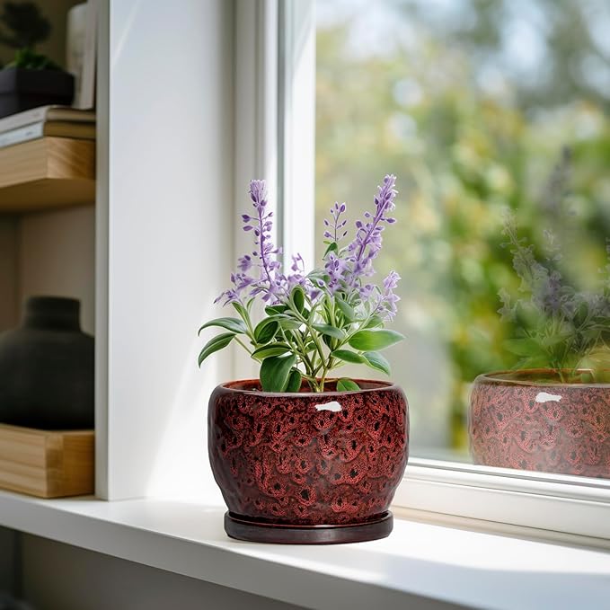SQOWL Ceramic Pot for Plants - Image 2