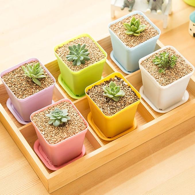 24 Pack 3inch Multi Color Square Plastic Plant Pots, Seedling Nursery - Image 5