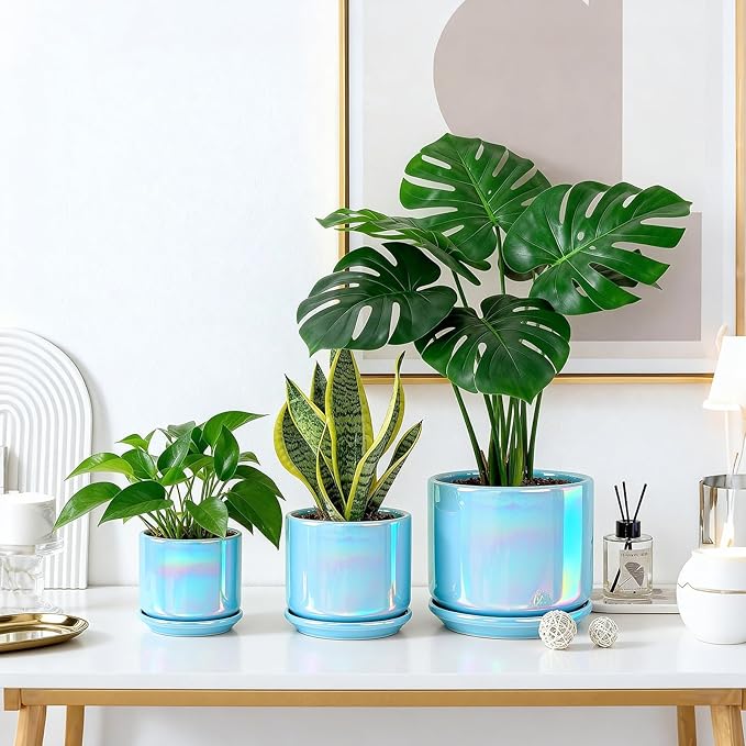EFISPSS Ceramic Planter 4+5+6 Inch Ceramic Flower pots - Image 5
