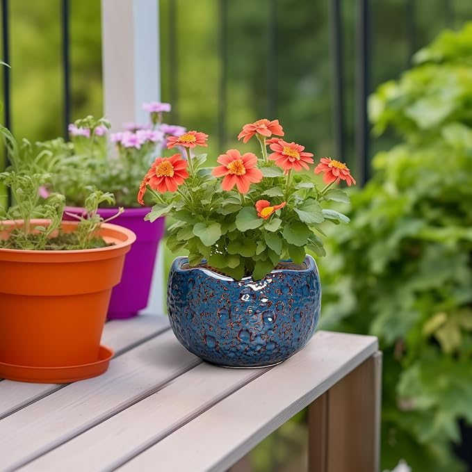 6 Inch Plant Pot - Image 4