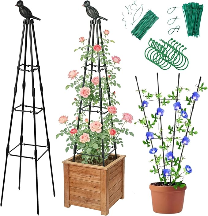 Garden Trellis for Climbing Plants Outdoor by Unknown