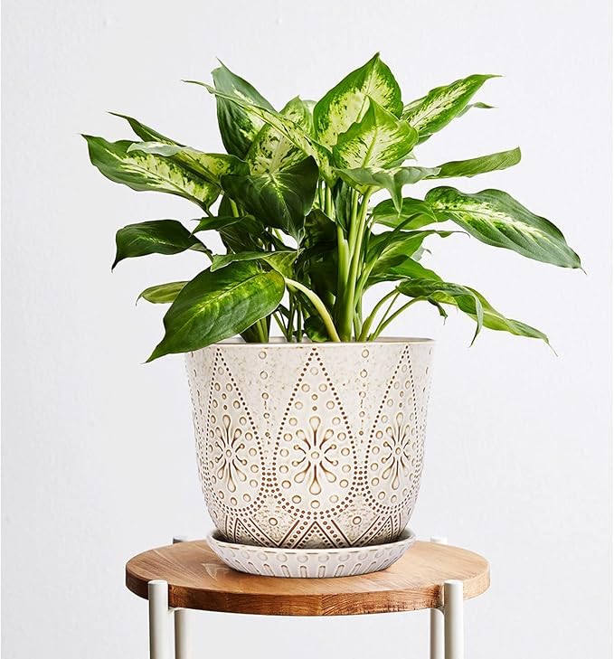 Gepege 8 Inch Plant Pot, Creamy White Ceramic Planter - Image 7