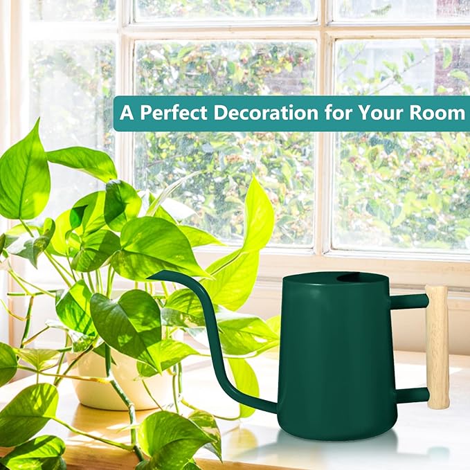 Watering Can Indoor Plants, 35oz Small Indoor Stainless Steel Metal Watering - Image 3