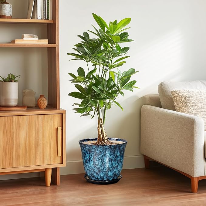 10 Inch Plant Pot - Image 4