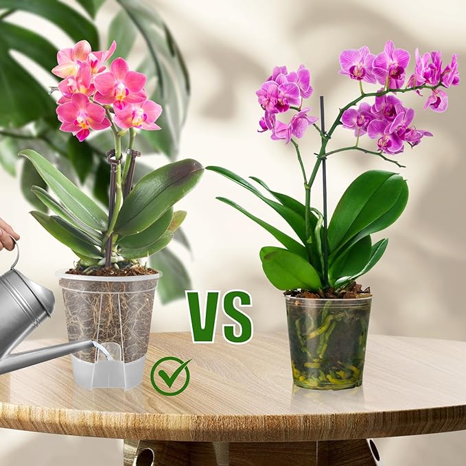 Cdd's Path 5-Pack 6 Inch Self Watering Naked Root Planter Pots - Image 4