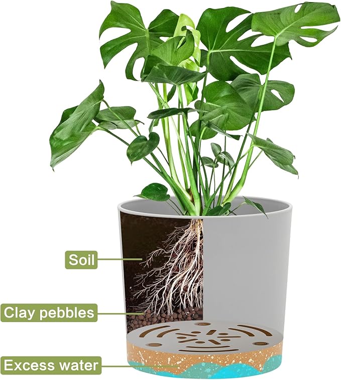 QCQHDU 5 inch Plant Pot, 2 Pack Planters - Image 4