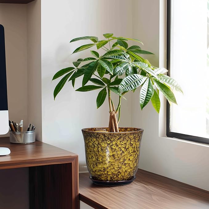 Ceramic Planter - Image 3