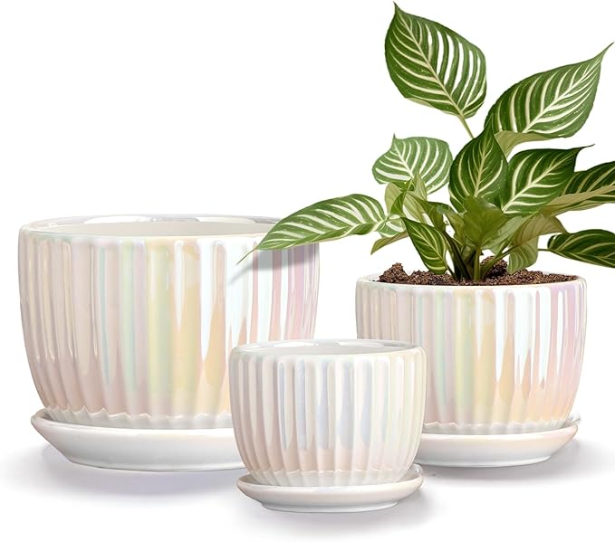 Ton Sin White Plant Pots, Pearl Gold Ceramic Flower Pots 4"+5"+6" Inch Indoor by TonSin