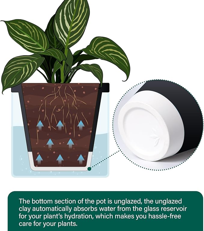 D'vine Dev 10 Inch Design Self Watering Planter - Image 6