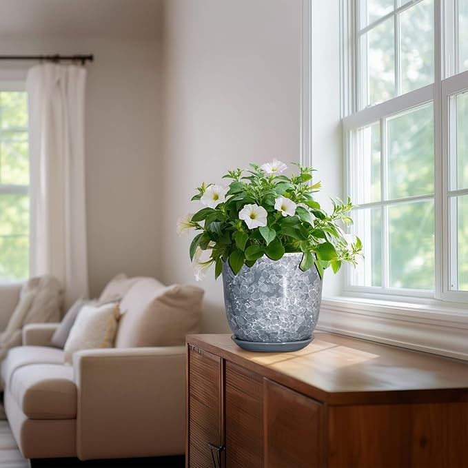Ceramic Plant Pots - Image 6