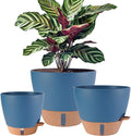 12/10/8 inch Plant Pots, Large Plastic Self Watering Planters by Fielda