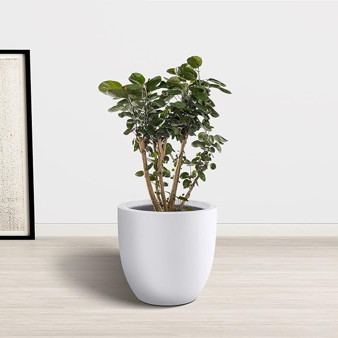 Kante 14 Inch Dia Round Concrete Planter, Indoor Outdoor Large Plant Pot - Image 9