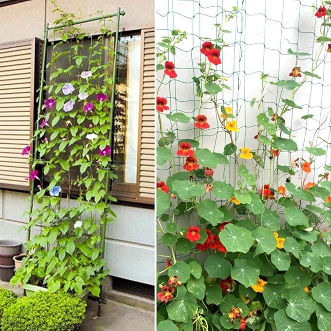 Pack of 2 Cucumber Tomato Trellis Netting, Heavy Duty Garden Netting - Image 5