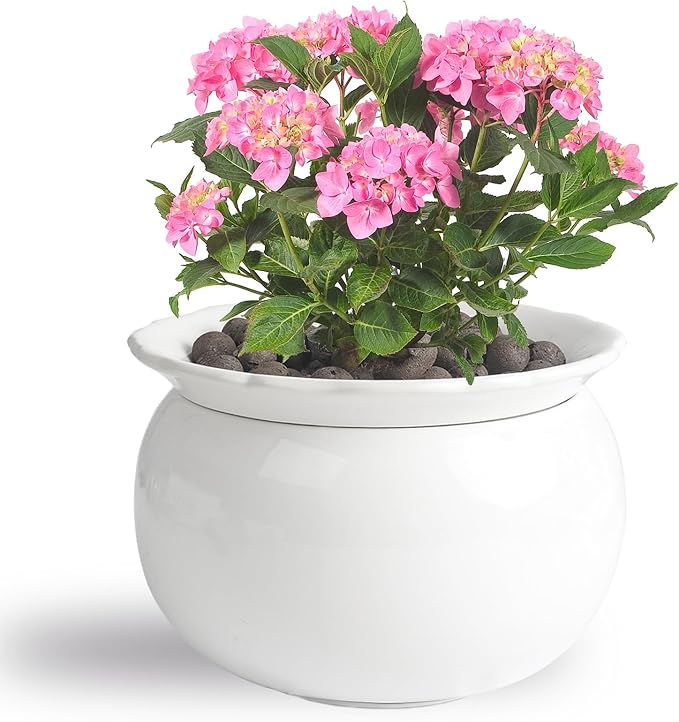 BUYMAX African Violet Pots, 6 inch Ceramic Easy Self Watering Plant Pot by BUYMAX
