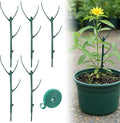 Grevosea 5 Pack Plant Support Stakes, Stackable Monstera Plant Supports by Unknown