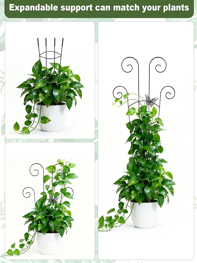 Metal Butterfly Trellis for Climbing Plants Indoor, 4 Pack 30 Inch Taller - Image 6