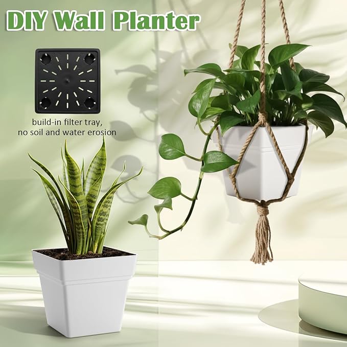 6-Pack 7 Inch Square Planters - Image 8