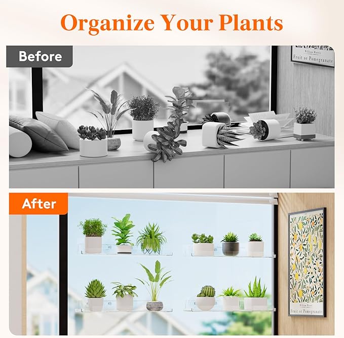 Lifewit Window Plant Floating Shelves 14.6x3.6, 2 Pack Acrylic Suction Cup Shelf - Image 9