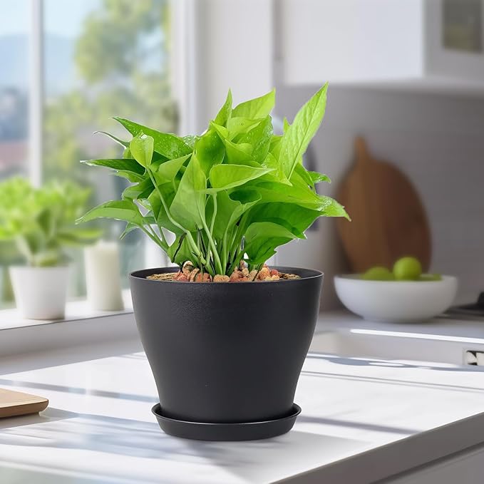 6 inch Plastic Nursery Pots, 16 Pack Plant Pots - Image 5