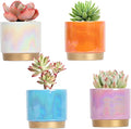 Gepege Succulent Pots for Plants, Succulent Planter by Gepege