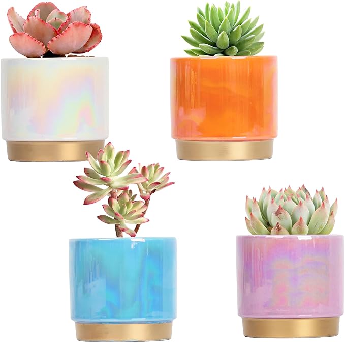 Gepege Succulent Pots for Plants, Succulent Planter by Gepege