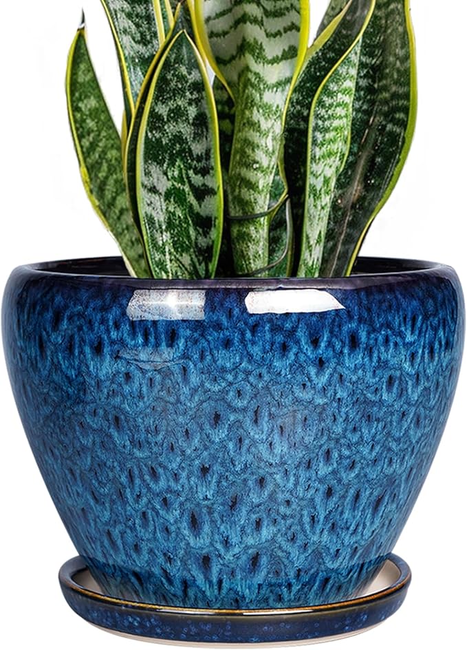 8 Inch Ceramic Plant Pot, Ceramic Planter Pot by Ceramicfor