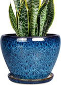 8 Inch Ceramic Plant Pot, Ceramic Planter Pot by Ceramicfor