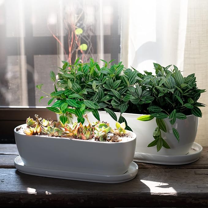 E-liu Oval Ceramic Planter Pot - Image 5