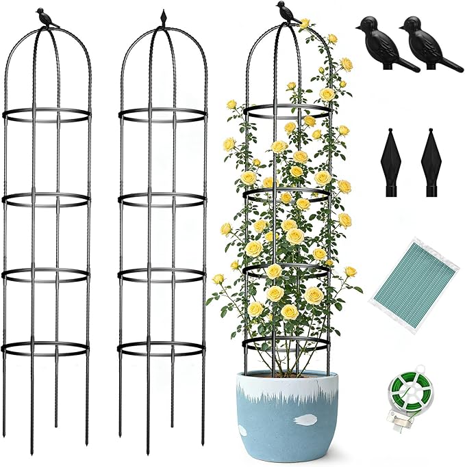 Obelisk Trellis for Garden Plants Climbing: 6ft Rustproof Metal Pipe by ONEANU