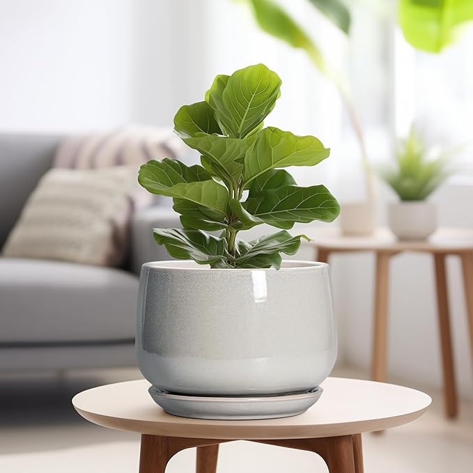 G EPGardening Ceramic Plant Pots - Image 4