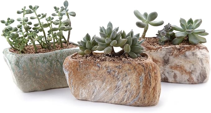 T4U 5.5 Inch Ceramic Succulent Pot Planter by T4U