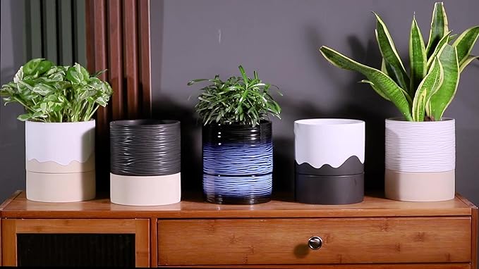 Nihow Self Watering Plant Pot: 6 Inch Ceramic Planter - Image 9