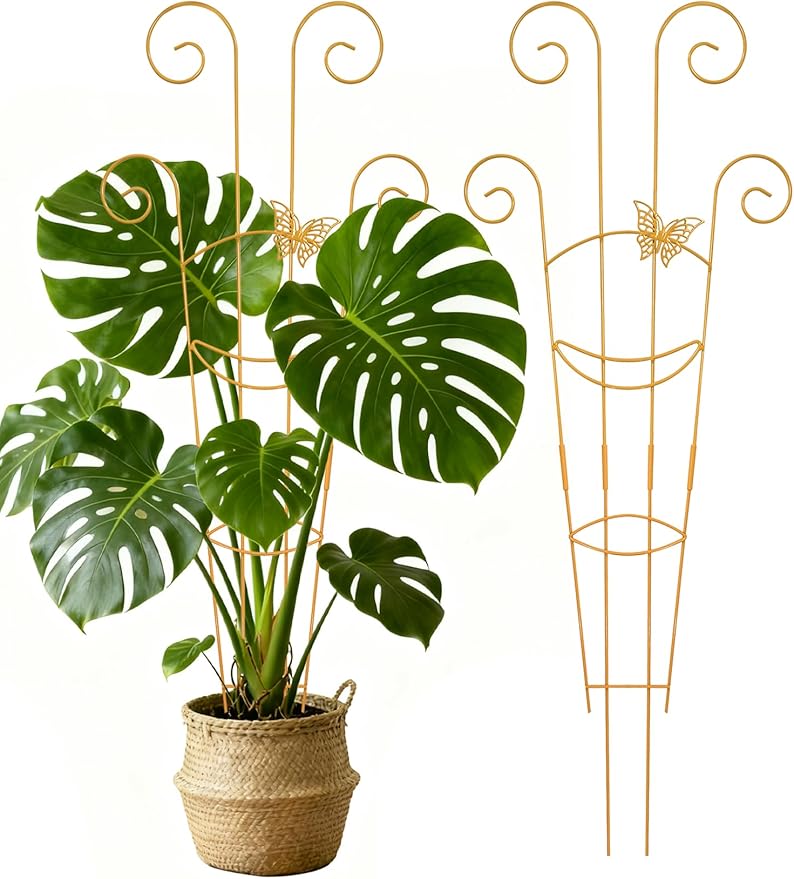 2 Pcs Tall Trellis for Potted Plants, Plant Pothos Climber Support for Monstera by Unknown