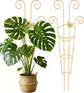 2 Pcs Tall Trellis for Potted Plants, Plant Pothos Climber Support for Monstera by Unknown