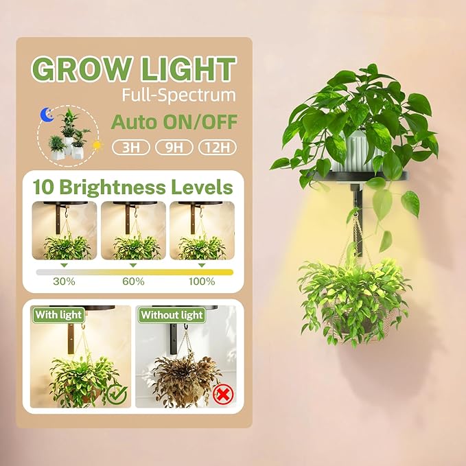 iDavosic.ly Wall Plant Holder - Image 3